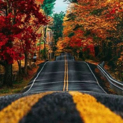 必赢亚洲下载手机版截图