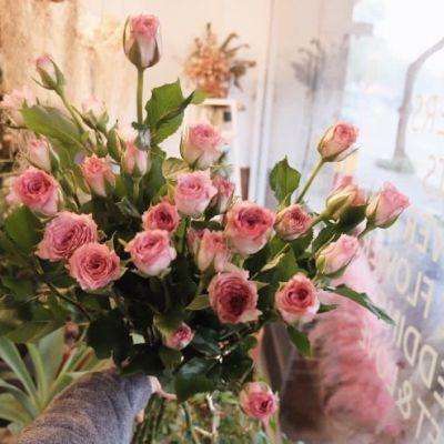 万博体育最新下载链接