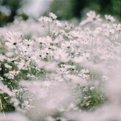 必赢亚洲下载手机版